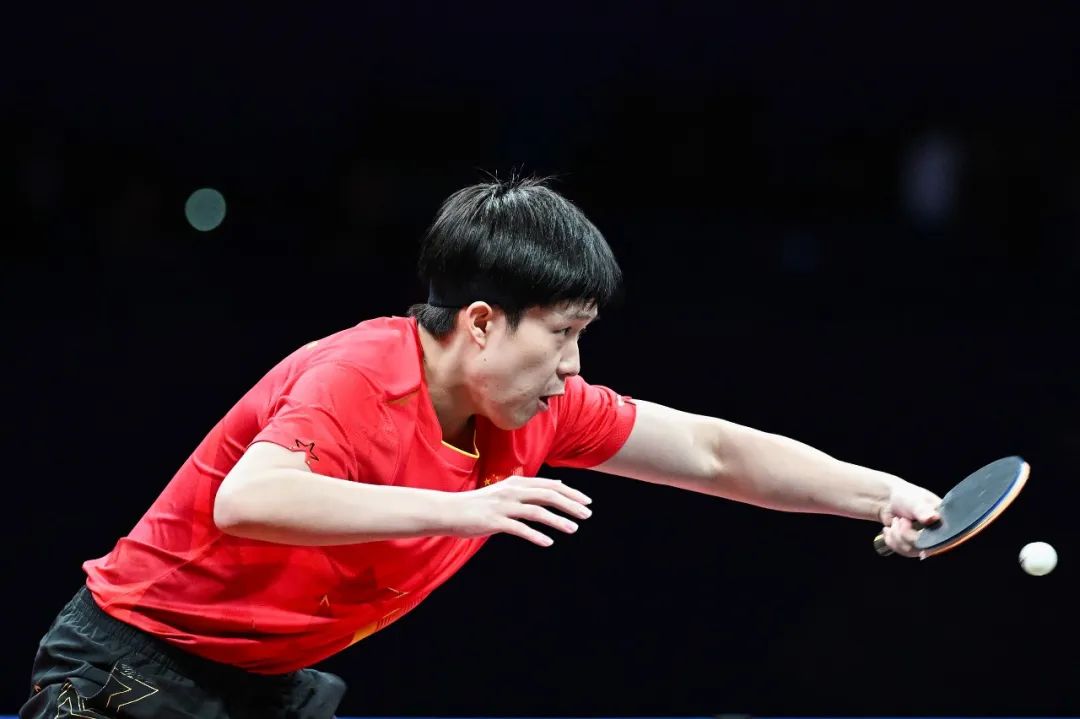 赵睿建议杨 赵睿建议杨